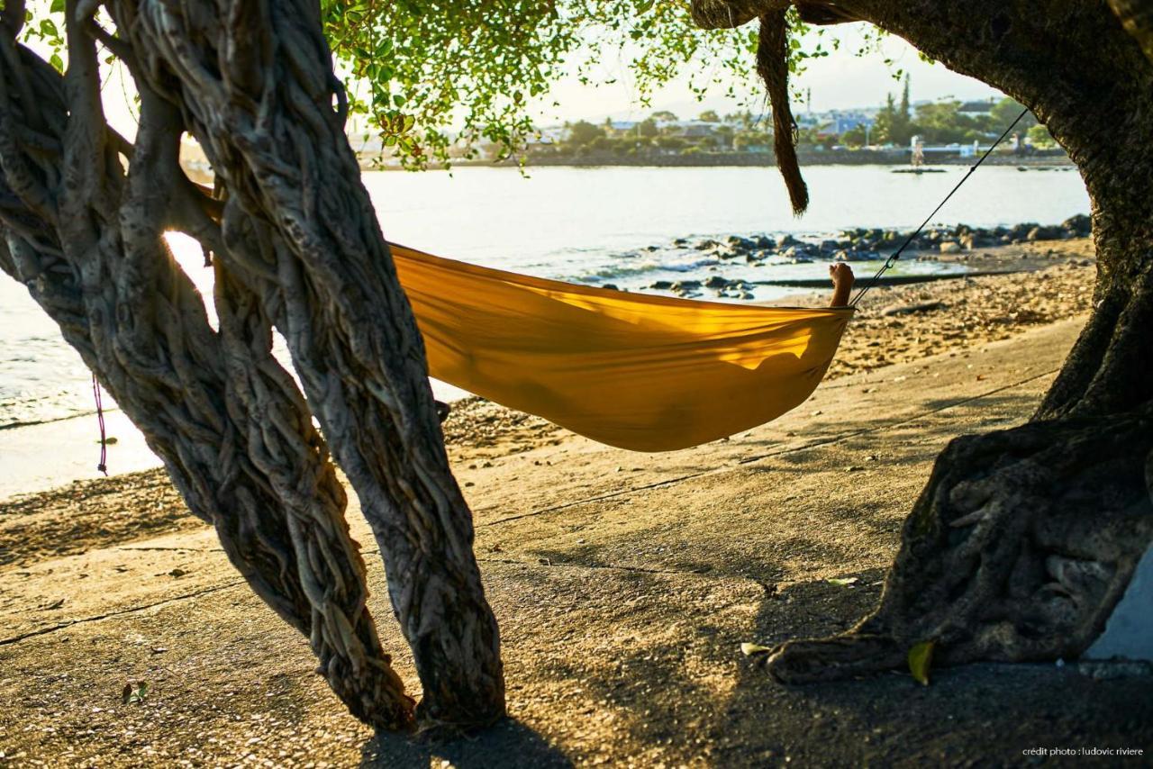 T2 Cosy A 100M De La Plage, Saint-Pierre, Luma Appart Eksteriør billede